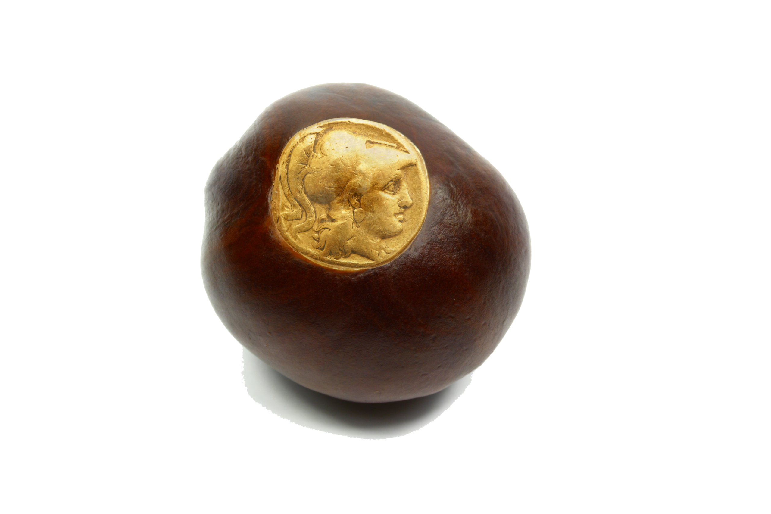 Buckeye with gold coin as eye